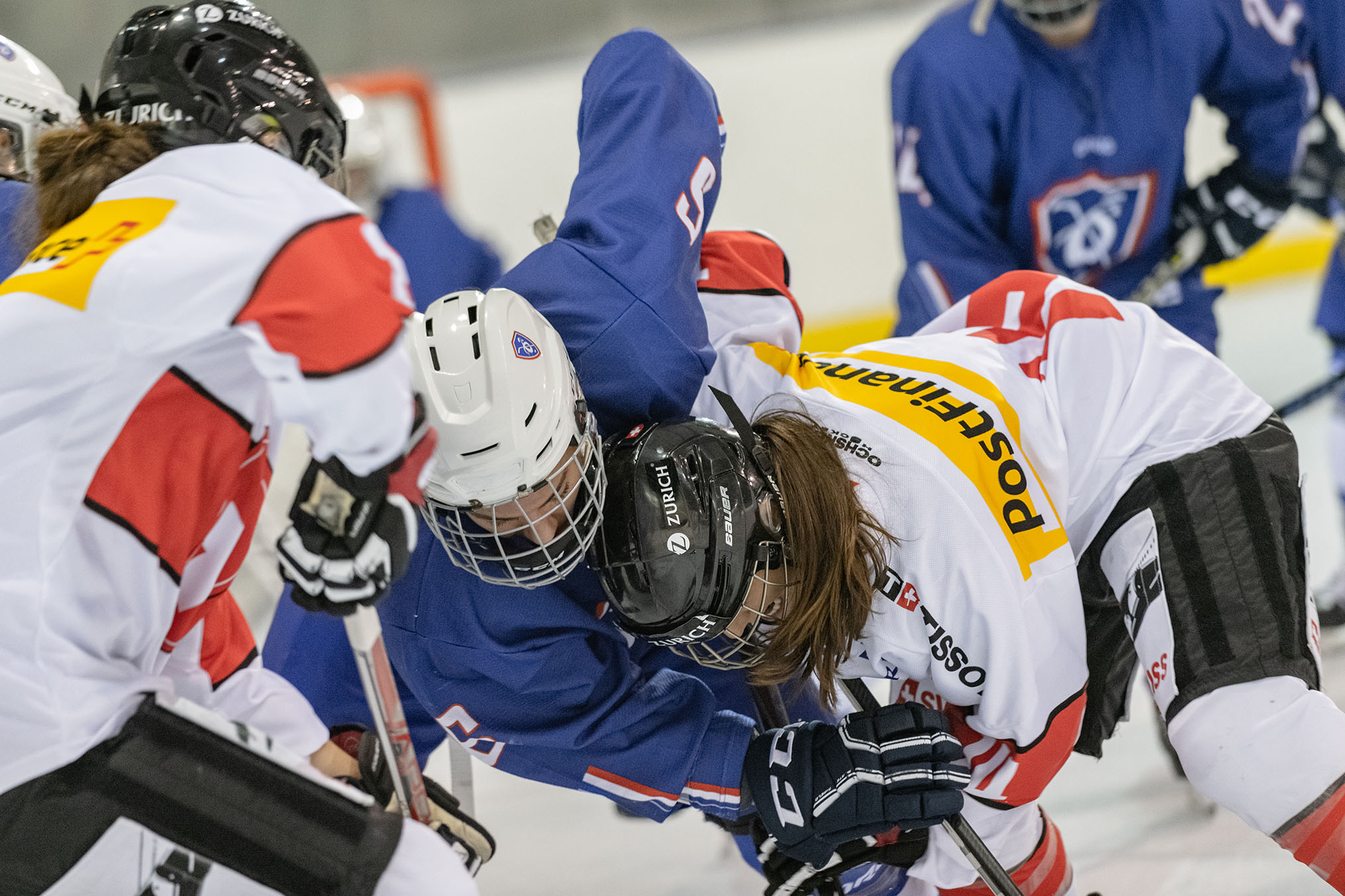 Schedule | Swiss Ice Hockey Federation